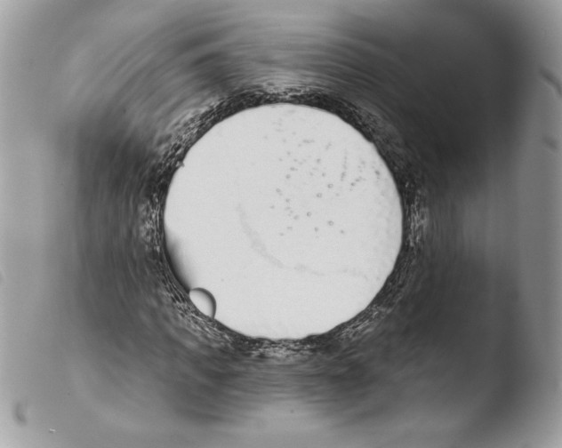 X0000103930917200810171748