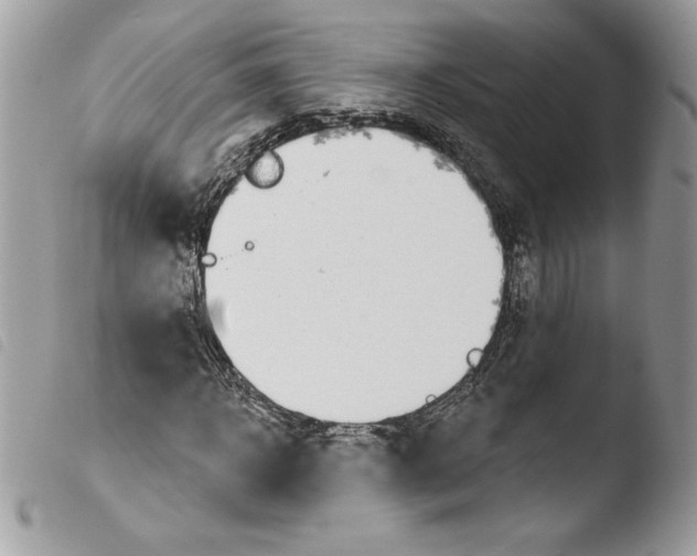 X0000103930918200810171748