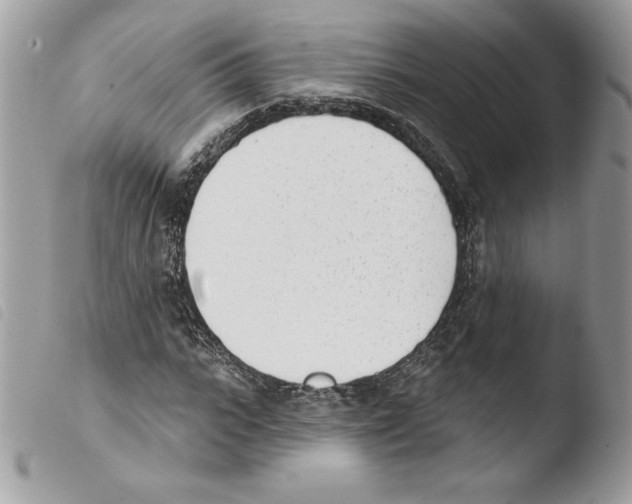 X0000103930919200810171748