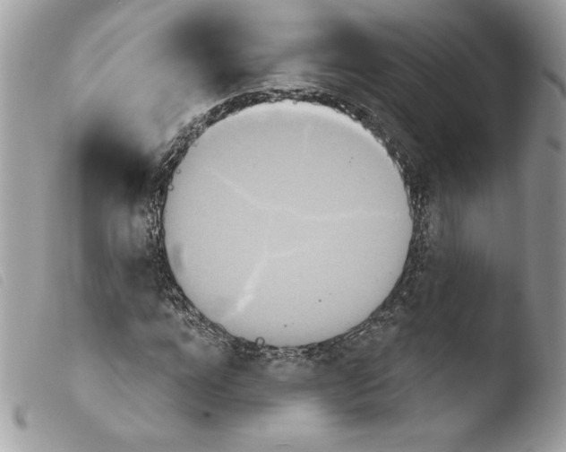 X0000103930920200810171748