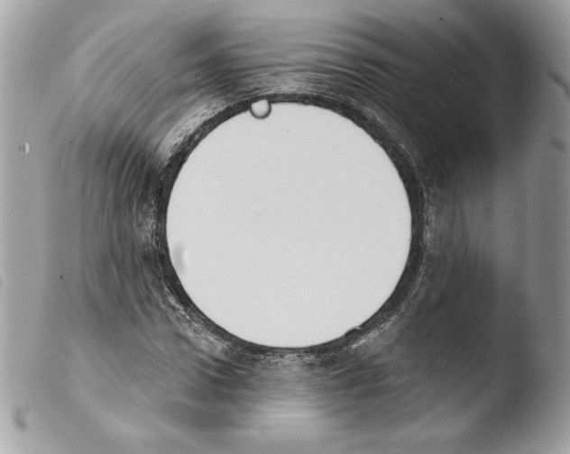 X0000103930922200810171748