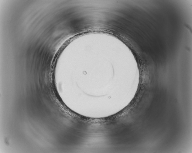 X0000103930924200810171748