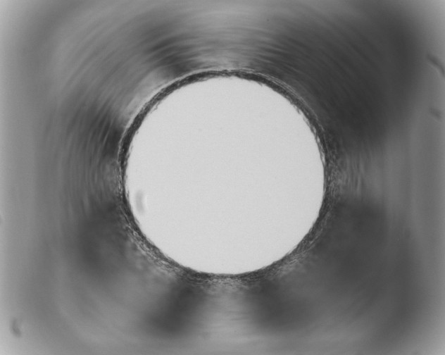 X0000103930927200810171748