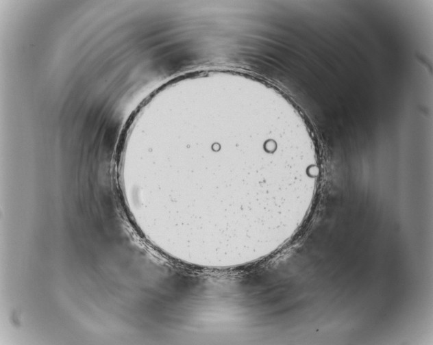 X0000103930928200810171748