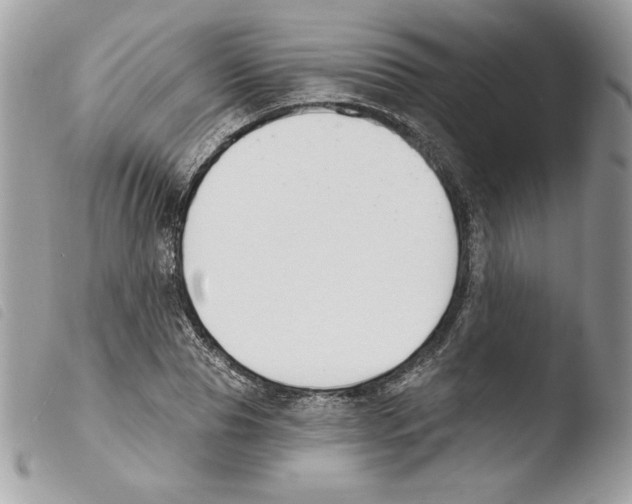 X0000103930929200810171748