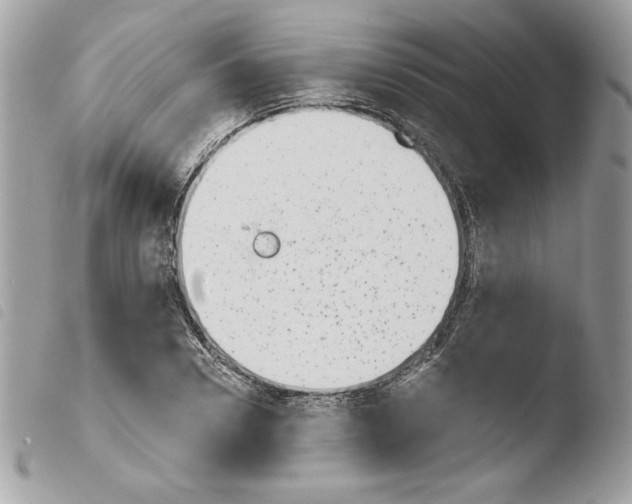 X0000103930930200810171748