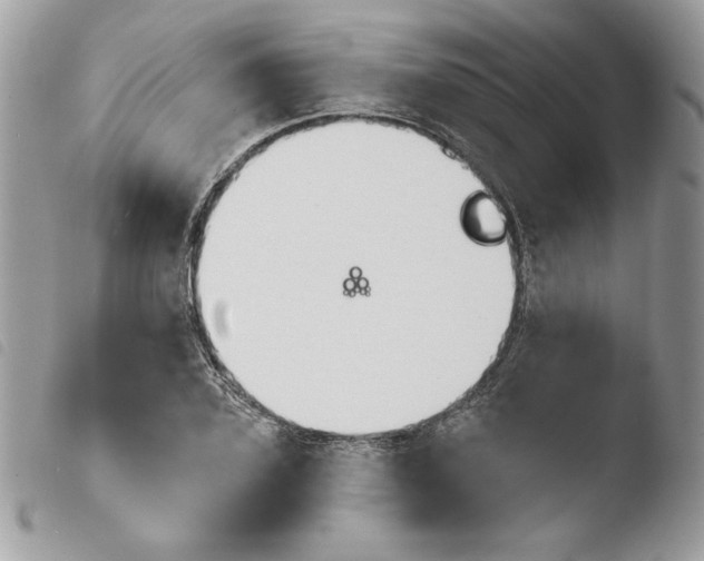 X0000103930931200810171748