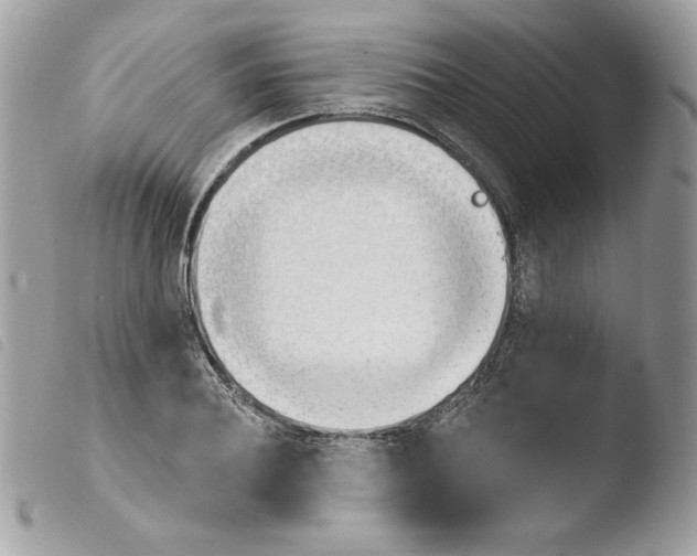 X0000103930932200810171748