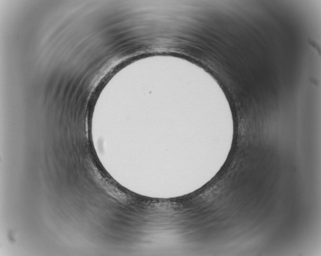 X0000103930934200810171748