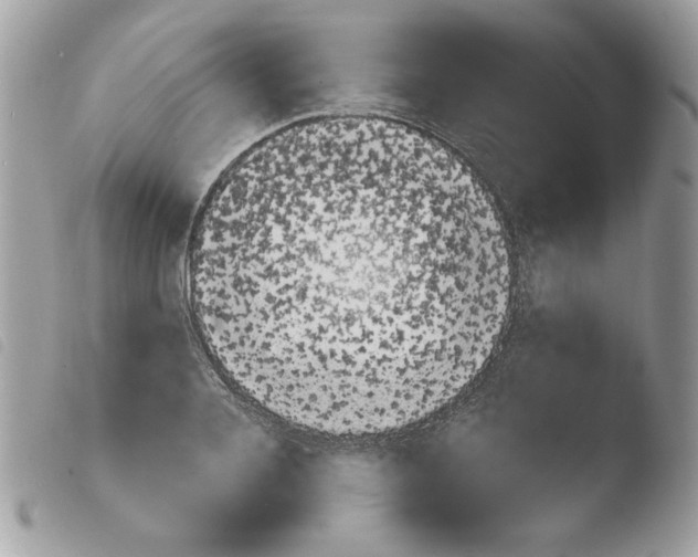 X0000103930936200810171748