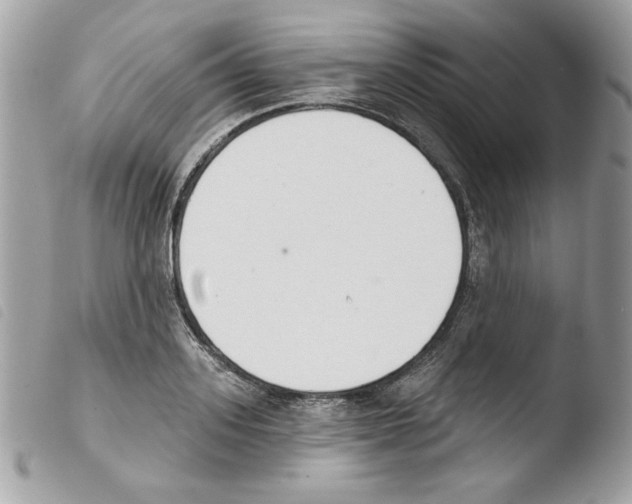 X0000103930939200810171748