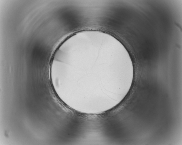 X0000103930940200810171748