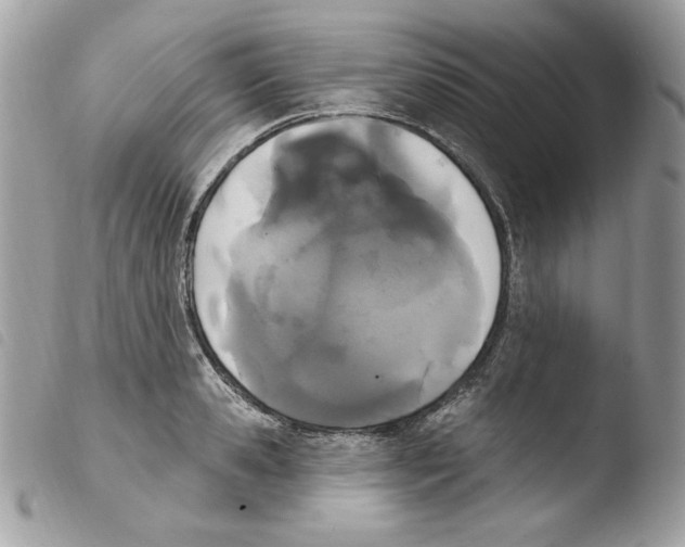 X0000103930941200810171748