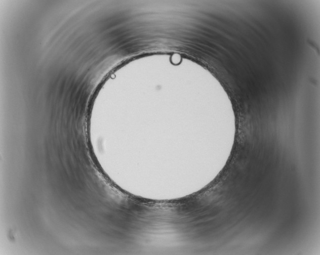 X0000103930942200810171748