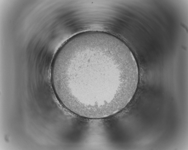 X0000103930944200810171748