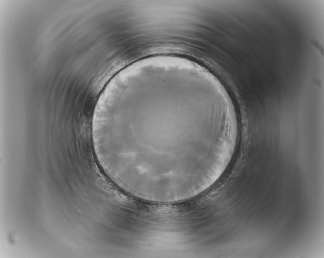 X0000103930945200810171748