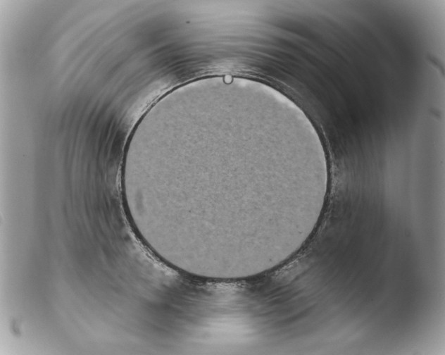 X0000103930946200810171748