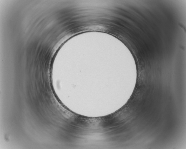 X0000103930947200810171748