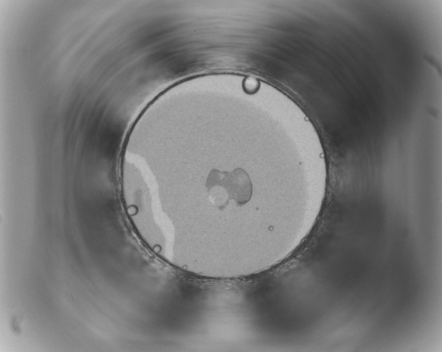 X0000103930948200810171748