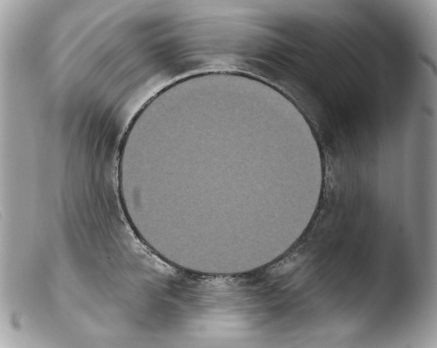 X0000103930950200810171748