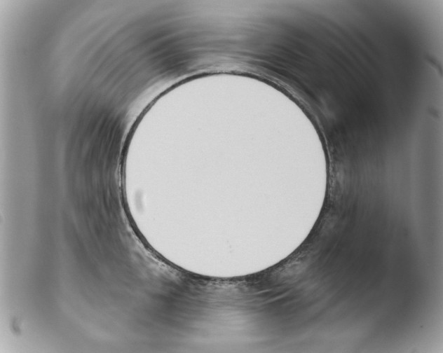 X0000103930951200810171748