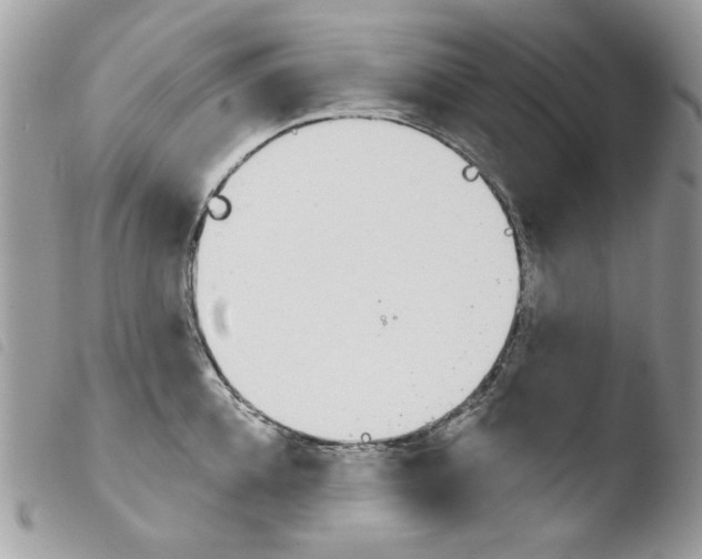 X0000103930952200810171748