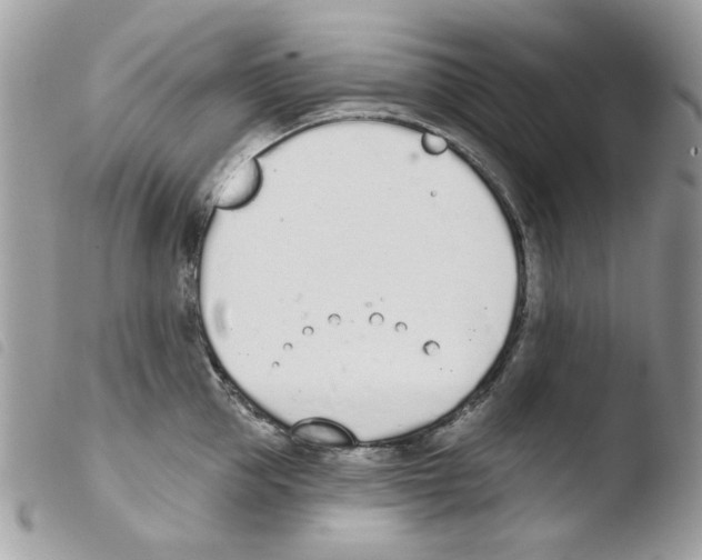 X0000103930953200810171748