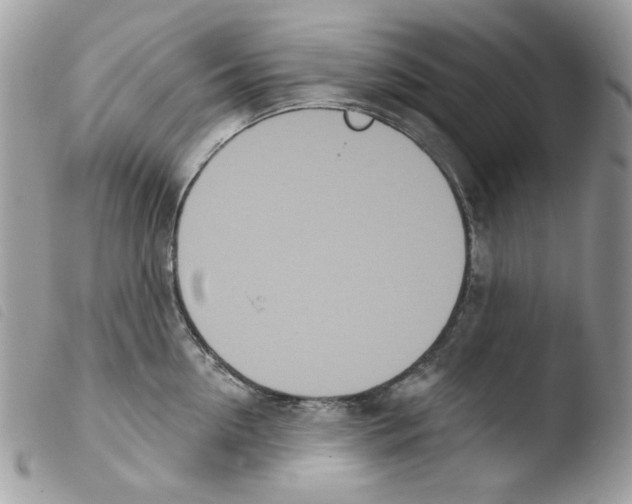 X0000103930954200810171748