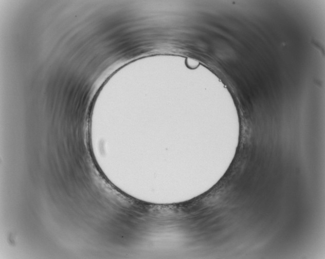 X0000103930955200810171748