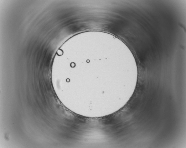 X0000103930956200810171748