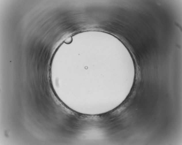 X0000103930957200810171748