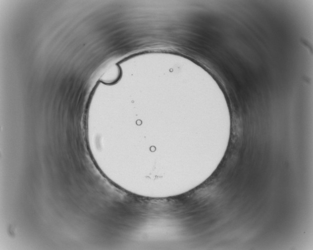 X0000103930959200810171749