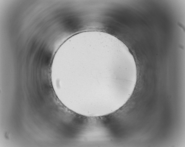 X0000103930960200810171749