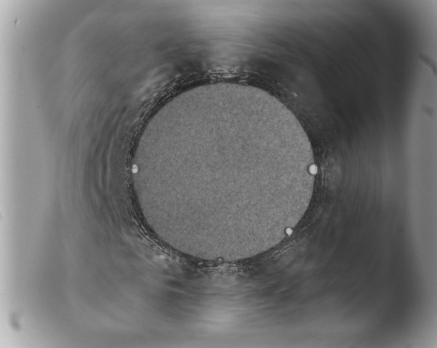 X0000103930961200810171748