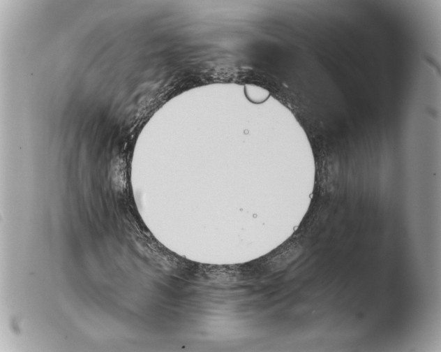 X0000103930962200810171748