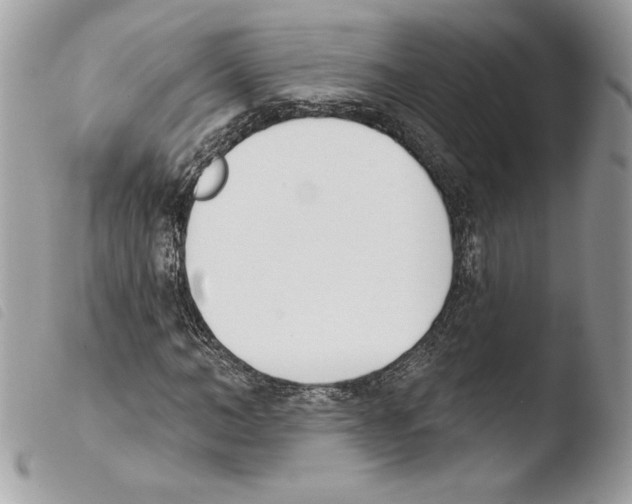 X0000103930966200810171748