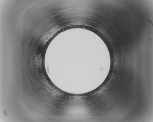 X0000103930969200810171748