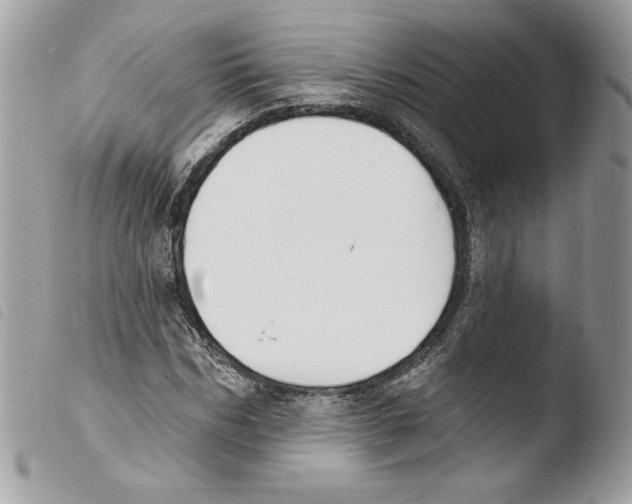 X0000103930970200810171748