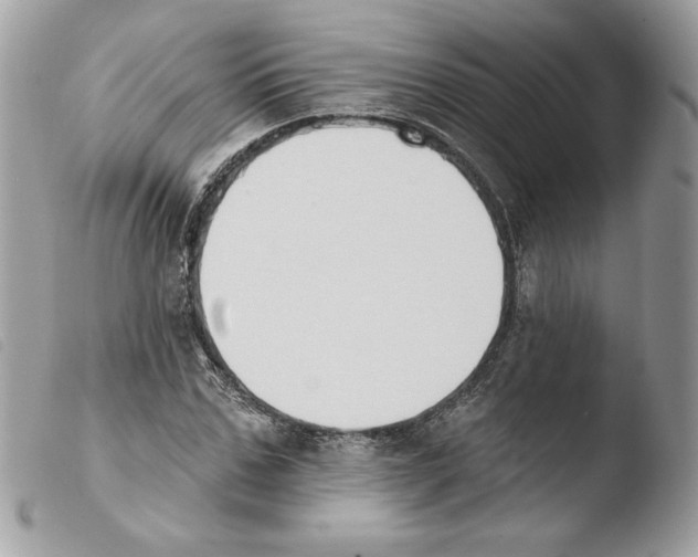 X0000103930971200810171748