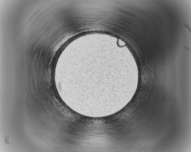 X0000103930975200810171748