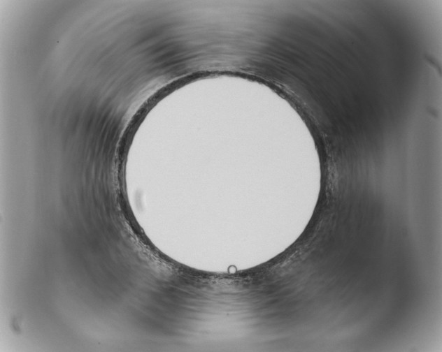 X0000103930976200810171748