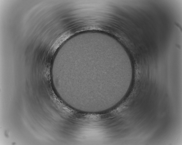 X0000103930977200810171747