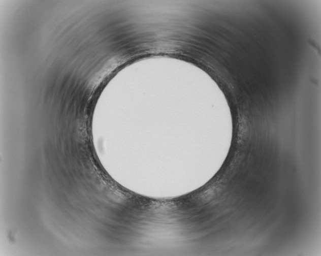 X0000103930978200810171747