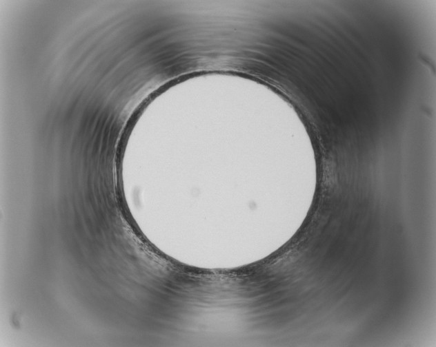 X0000103930980200810171747