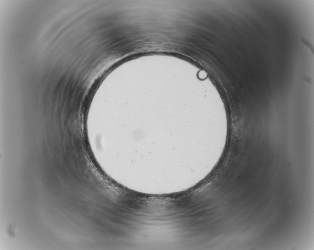 X0000103930981200810171747