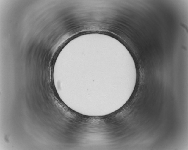 X0000103930982200810171747