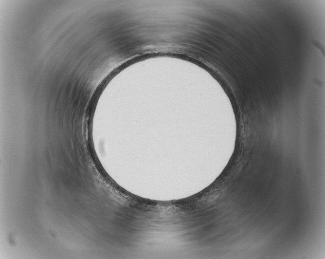 X0000103930983200810171747