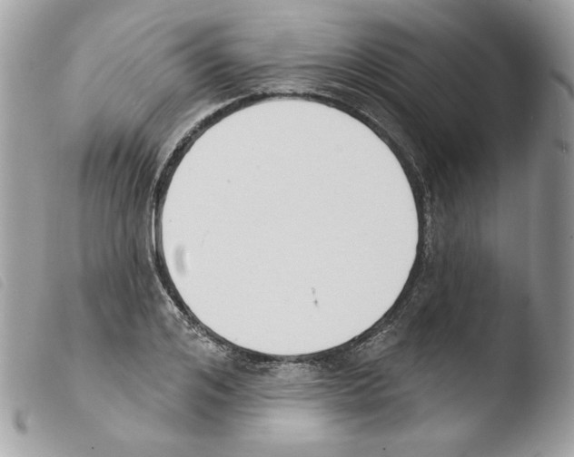 X0000103930984200810171747