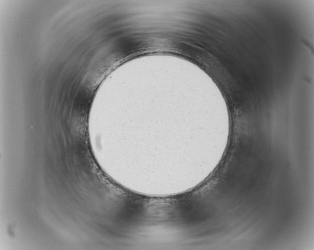 X0000103930985200810171747