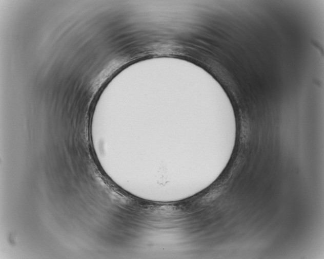 X0000103930986200810171747